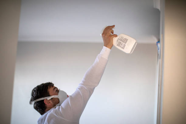 Best Residential Mold Remediation in Cooper City, FL